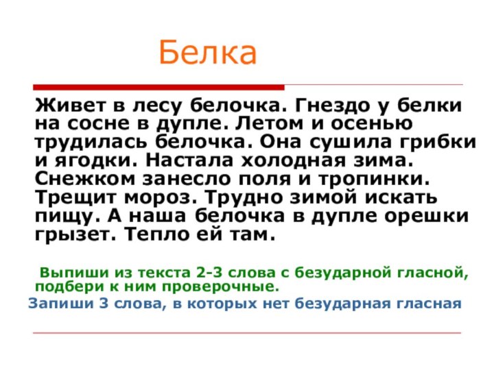 Белка  Живет в лесу белочка. Гнездо у белки на сосне в