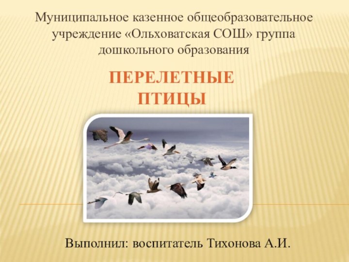 Перелетные птицыМуниципальное казенное общеобразовательное учреждение «Ольховатская СОШ» группа дошкольного образованияВыполнил: воспитатель Тихонова А.И.