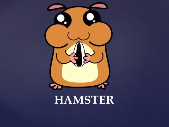 HAMSTER