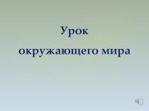 Презентация к уроку окружающего мира Климат и природные зоны 4 кл.