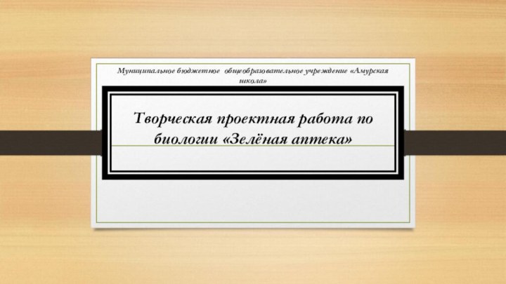 Муниципальное бюджетное общеобразовательное учреждение «Амурская школа»Творческая проектная работа по биологии «Зелёная аптека»