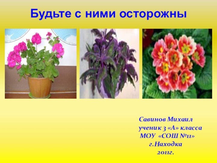 Савинов Михаил    ученик 3 «А» класса МОУ «СОШ №11»г.Находка2011г.Будьте с ними осторожны