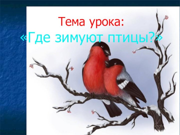 Тема урока: «Где зимуют птицы?»