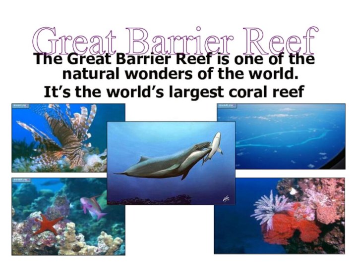 The Great Barrier Reef is one of the natural wonders of the