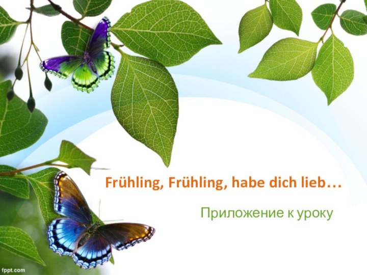 Frühling, Frühling, habe dich lieb…Приложение к уроку