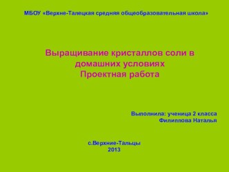 Презентация к проектной работе Выращивание кристаллов соли в домашних условиях