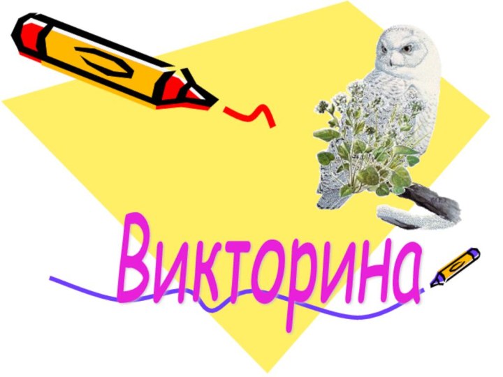 Викторина