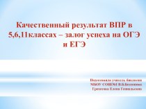 Презентация к уроку Качественный результат ВПР в подготовке к ОГЭ и ЕГЭ