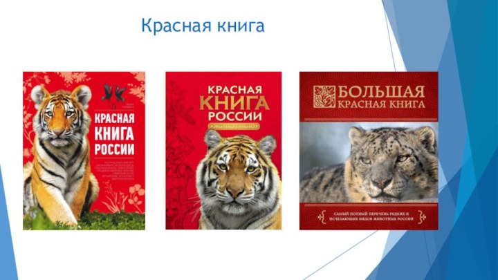 Красная книга