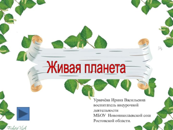 Урвачёва Ирина Васильевнавоспитатель внеурочной деятельности МБОУ Новониколаевской сош Ростовской области.Живая планета