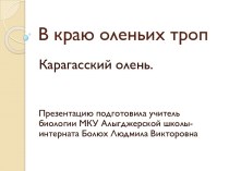 Презентация по биологии В краю оленьих троп