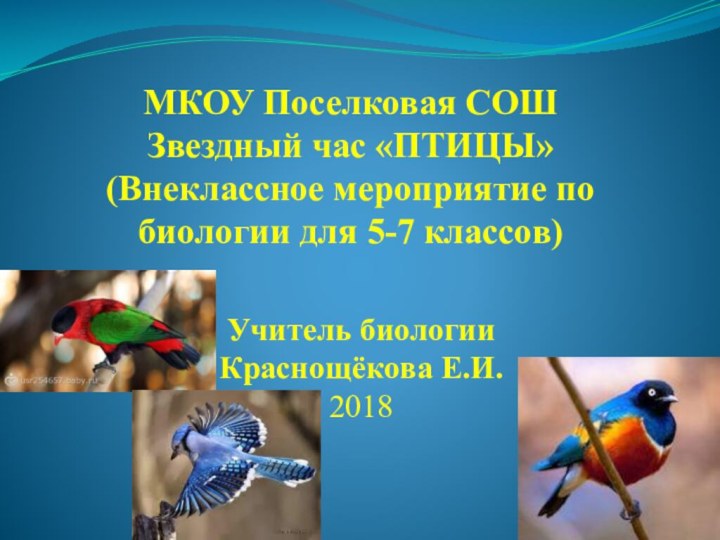 МКОУ Поселковая COШ Звездный час «ПТИЦЫ» (Внеклассное мероприятие по