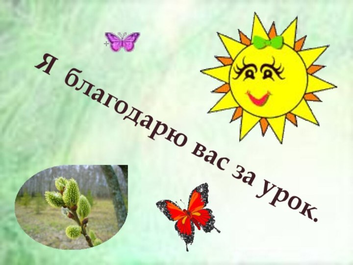 Я благодарю вас за урок.