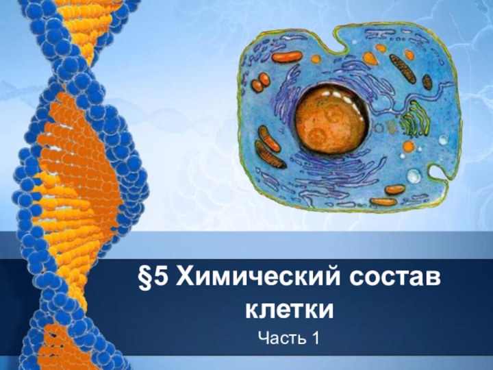 §5 Химический состав клеткиЧасть 1