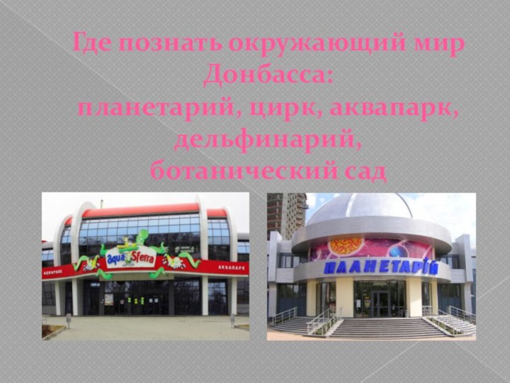 Где познать окружающий мир Донбасса: планетарий, цирк, аквапарк, дельфинарий, ботанический сад