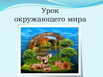 Презентация по окружающему миру на тему Жизнь животных. В зоопарке