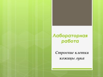 Презентация по биологии на тему Строение клетки кожицы лука практическая работа(5 класс)