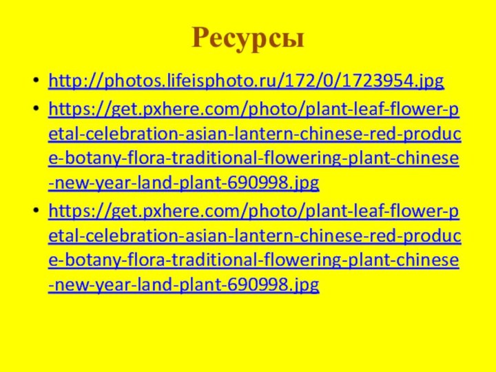 Ресурсы http://photos.lifeisphoto.ru/172/0/1723954.jpghttps://get.pxhere.com/photo/plant-leaf-flower-petal-celebration-asian-lantern-chinese-red-produce-botany-flora-traditional-flowering-plant-chinese-new-year-land-plant-690998.jpghttps://get.pxhere.com/photo/plant-leaf-flower-petal-celebration-asian-lantern-chinese-red-produce-botany-flora-traditional-flowering-plant-chinese-new-year-land-plant-690998.jpg