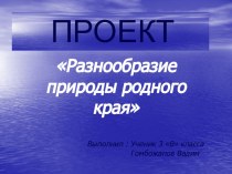 Презентация по окружающему миру Разнообразие природы родного края