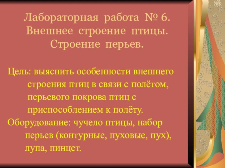 Лабораторная работа № 6. Внешнее строение птицы. Строение перьев.Цель: выяснить особенности внешнего