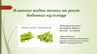 Презентация к исследовательской работе ученика 1 класса. Тема:Бобовые