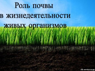 Презентация по биологии на тему: Роль почвы в жизнедеятельности живых организмов