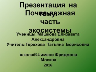 Презентация по окружающему миру на тему Почва-важная часть экосистемы.