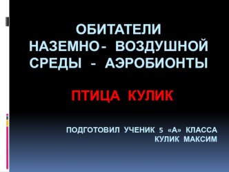 Презентация по биологии Птица кулик 5 класс