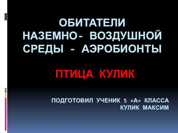 Обитатели  наземно- воздушной среды - аэробионтыПтица куликПодготовил ученик 5 «А» класса Кулик Максим