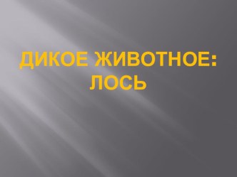 Презентация по окружающему миру на тему Лось- дикое животное (4 класс)