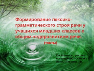 Формирование лексико-грамматического строя речи у учащихся младших классов с общим недоразвитием речи.