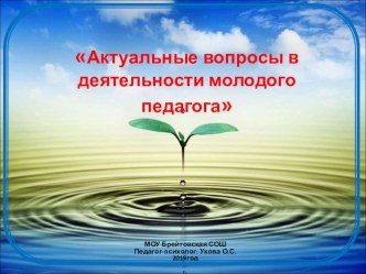 Презентация к занятию актуальные вопросы в деятельности молодого педагога