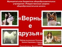 Презентация Собаки верные друзья, посвященная 70 -летию Победы