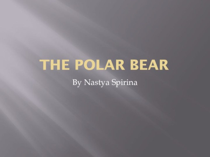 The Polar BearBy Nastya Spirina