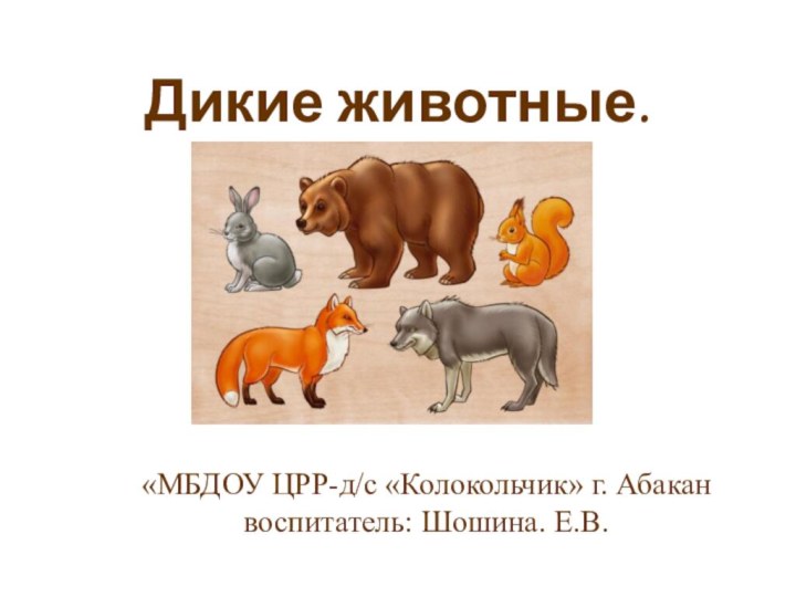 Дикие животные. «МБДОУ ЦРР-д/с «Колокольчик» г. Абакан воспитатель: Шошина. Е.В.