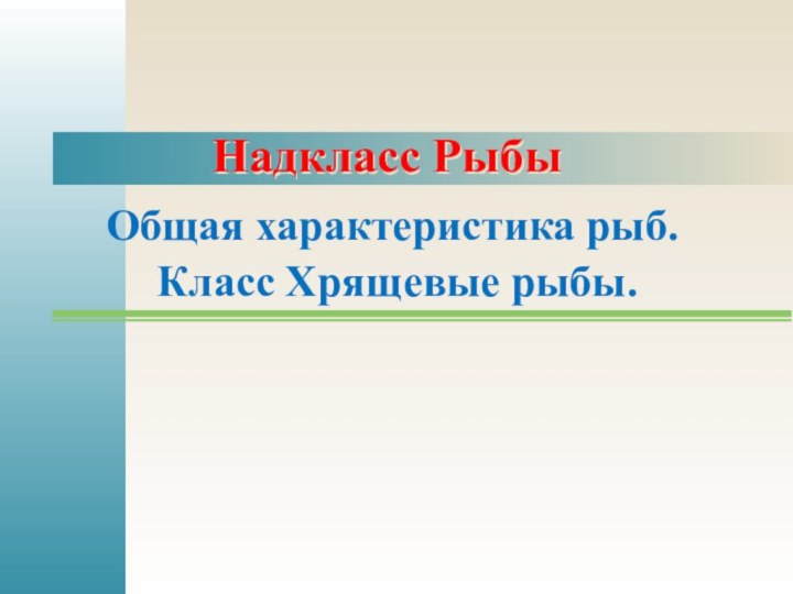 Надкласс РыбыОбщая характеристика рыб. Класс Хрящевые рыбы.