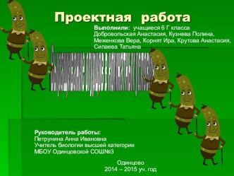 Презентация по биологии Выращивание огурцов в комнатных условиях Проектная работа учащихся в связи с переходом на ФГОС