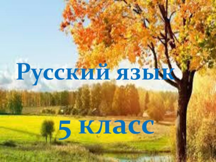 Русский язык5 класс