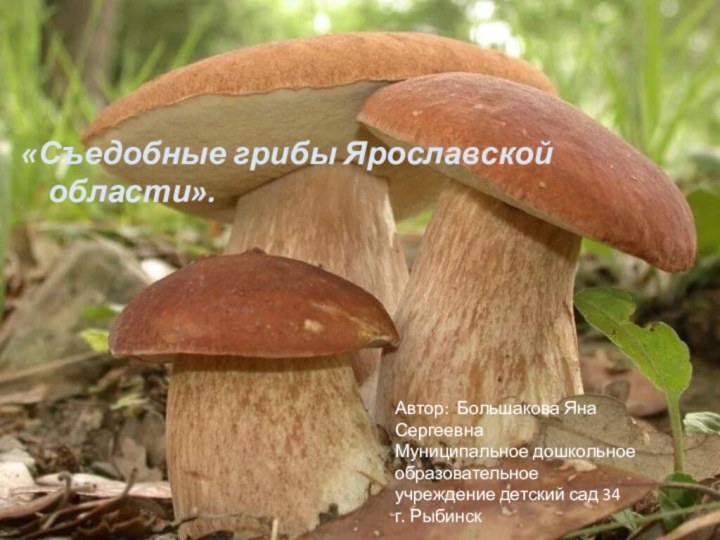 «Съедобные грибы Ярославской области».