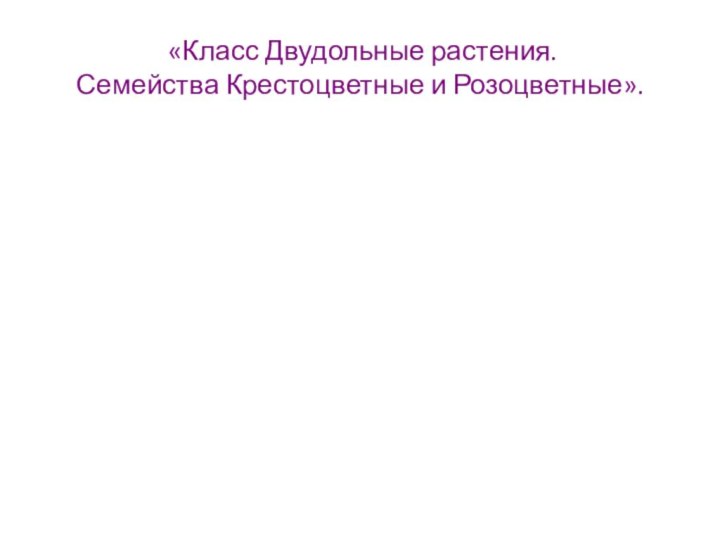 «Класс Двудольные растения. Семейства Крестоцветные и Розоцветные».