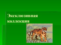 Эксклюзивная коллекция облицовки ванной комнаты керамической плиткой