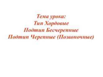 Презентация по биологии на тему Тип Хордовые. Подтип Бесчерепные.