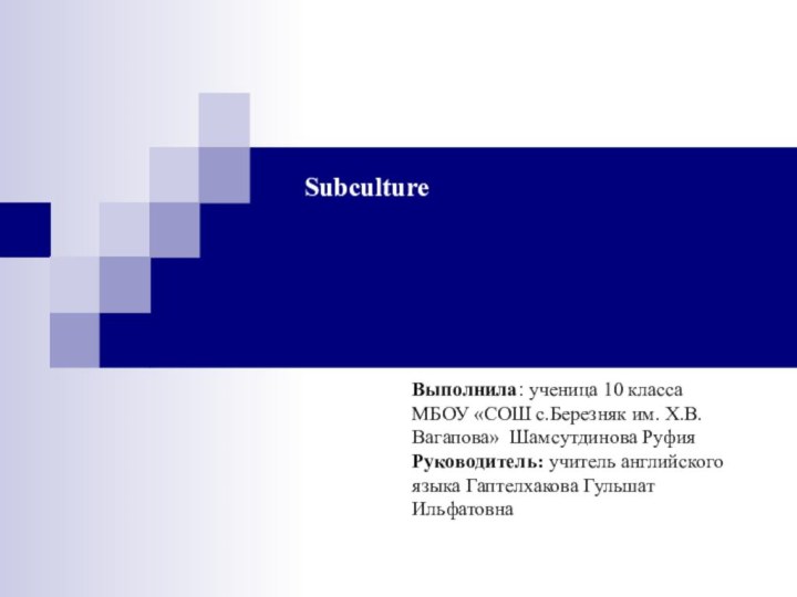 Subculture Выполнила: ученица 10 класса МБОУ «СОШ с.Березняк им. Х.В. Вагапова» Шамсутдинова