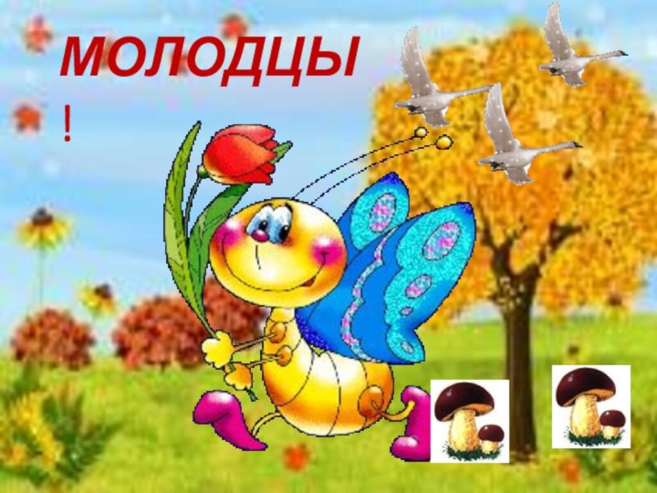 МОЛОДЦЫ!