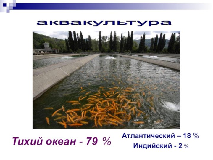 аквакультура Тихий океан - 79 %Атлантический – 18 %   Индийский - 2 %