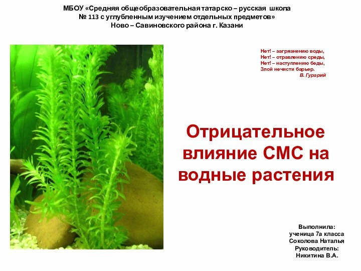 МБОУ «Средняя общеобразовательная татарско – русская школа№ 113 с углубленным изучением отдельных