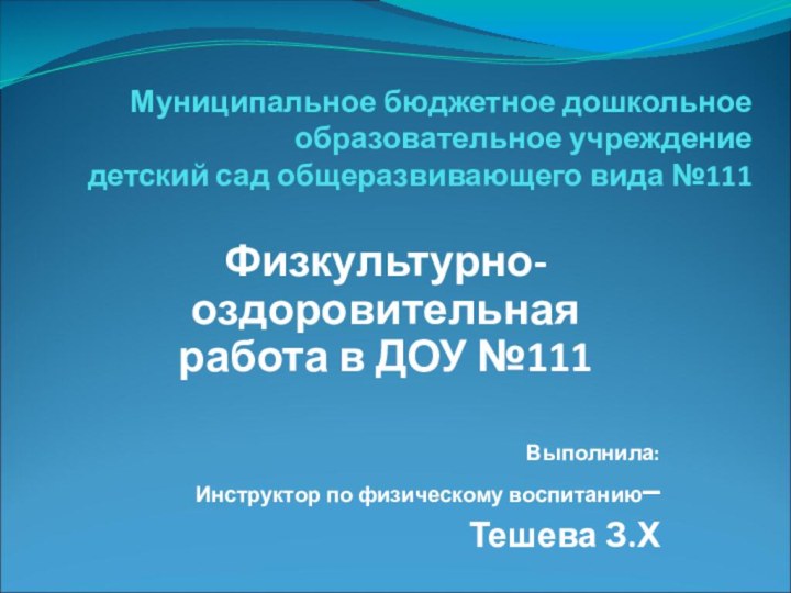 Муниципальное бюджетное дошкольное  образовательное учреждение  детский сад общеразвивающего вида №111