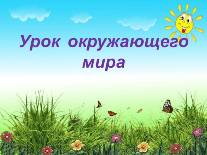 Урок окружающего мира