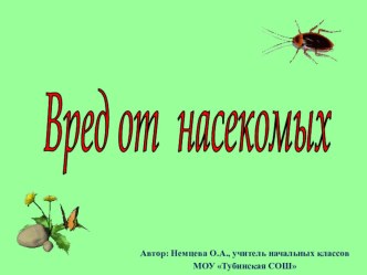 Презентация для занятия Юный эколог по теме Вред от насекомых (3 класс)