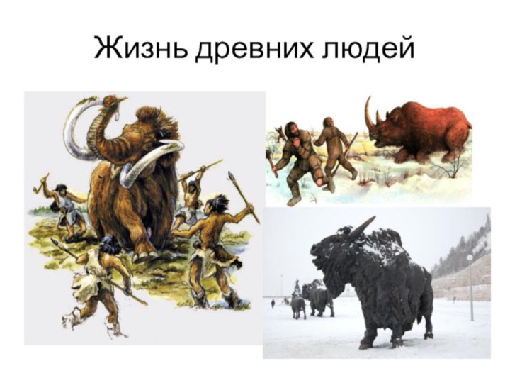 Жизнь древних людей